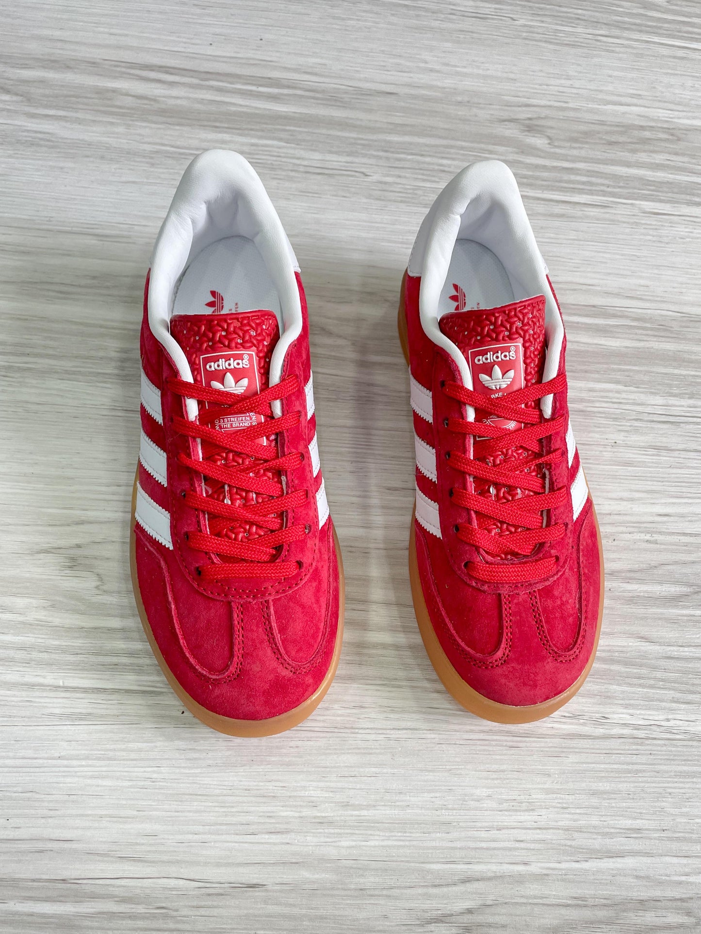 Gazelle Indoor Red