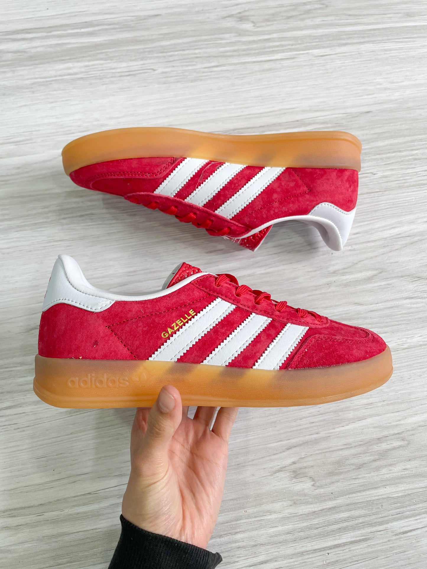 Gazelle Indoor Red