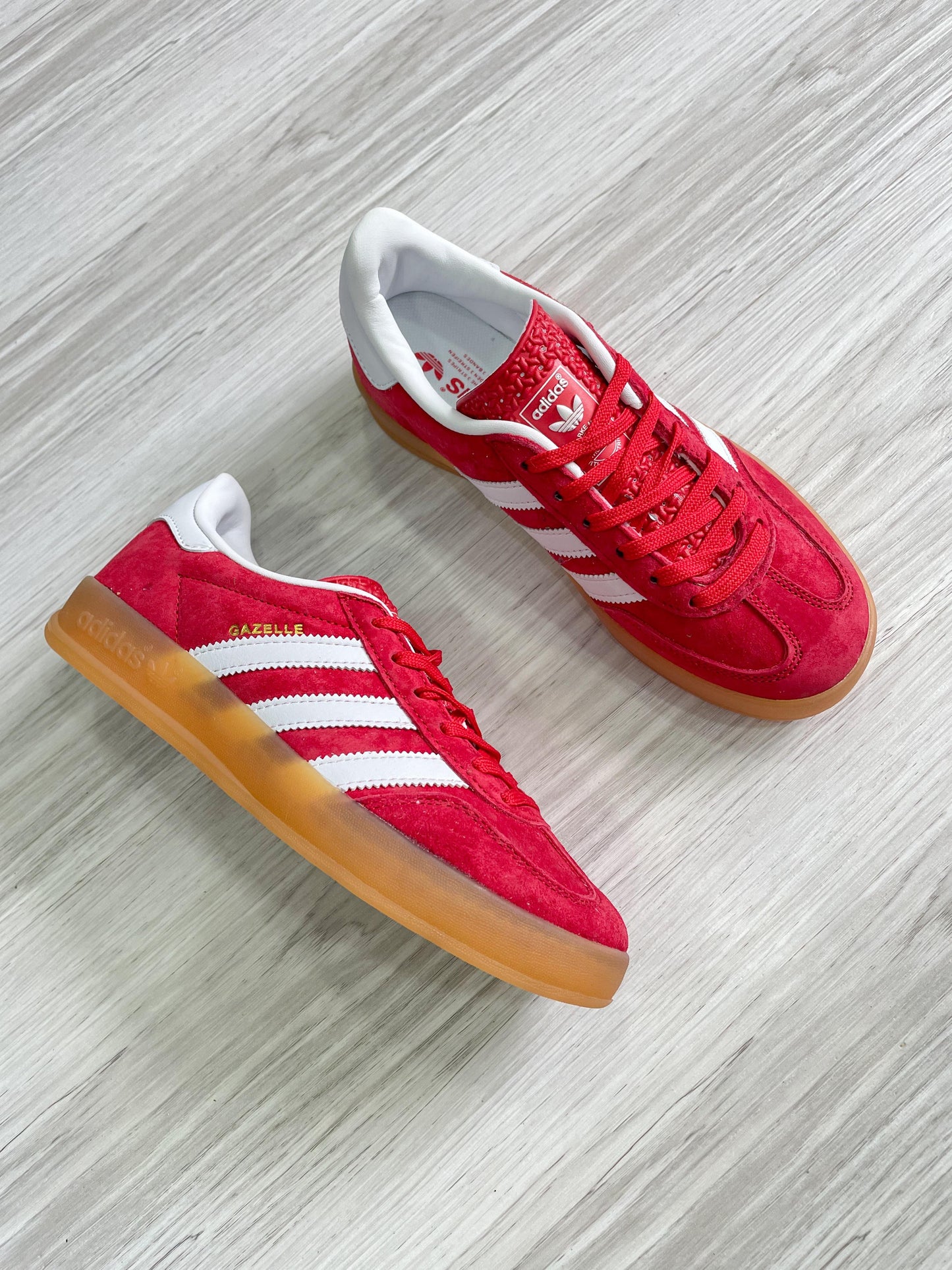 Gazelle Indoor Red