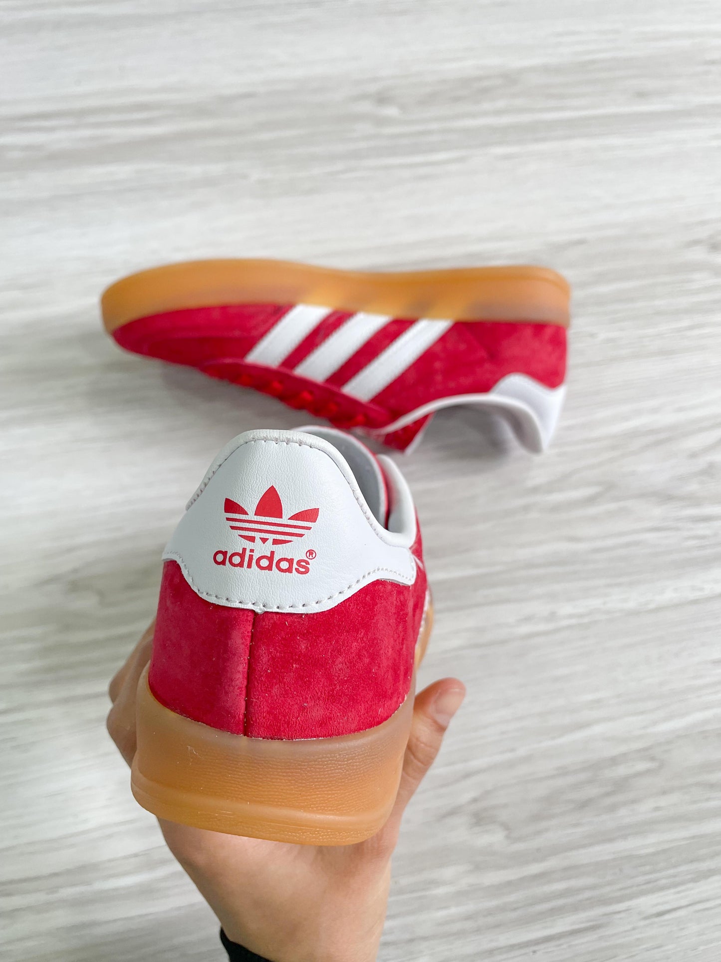 Gazelle Indoor Red