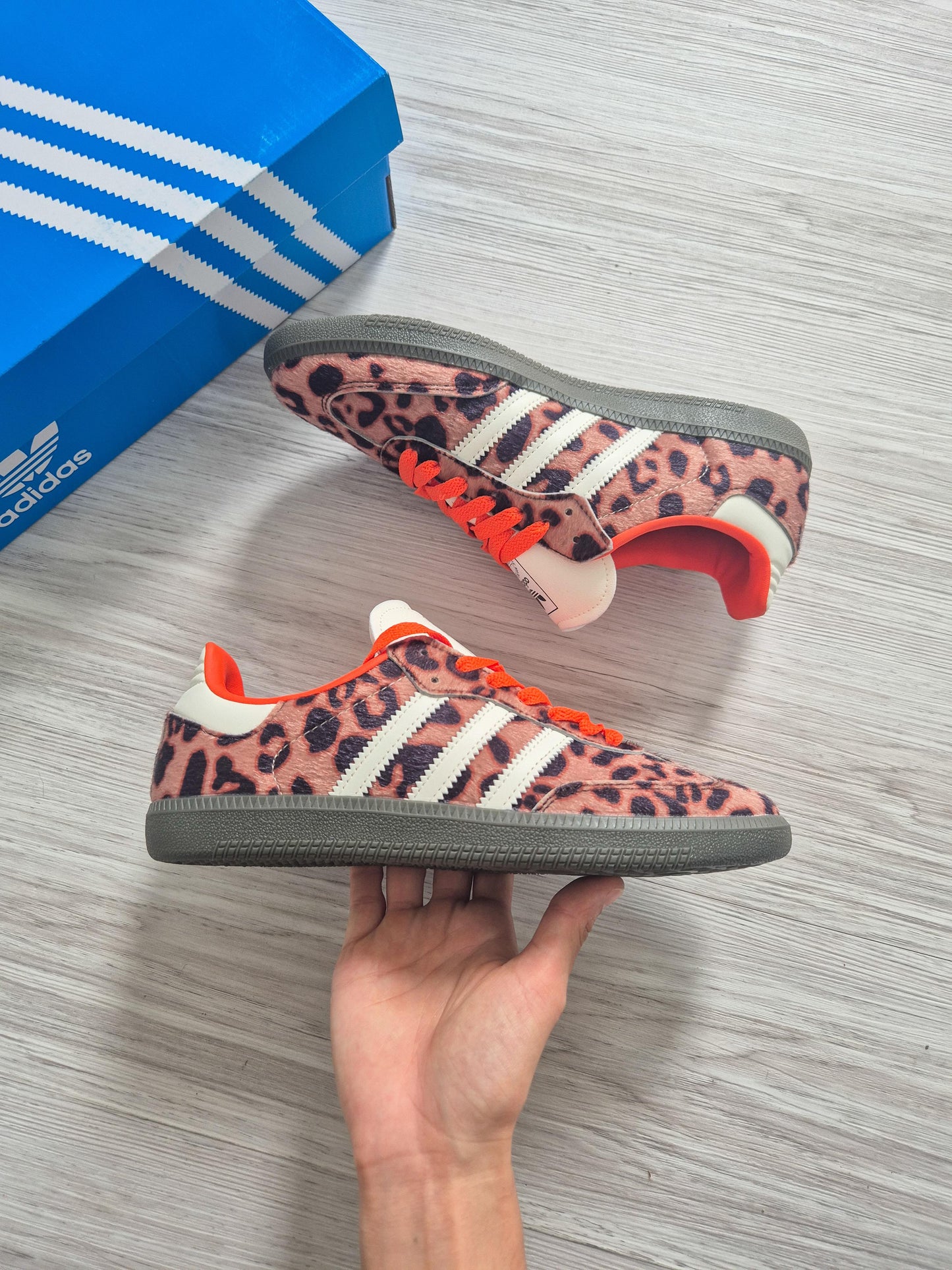 Samba Og Orange Leopard