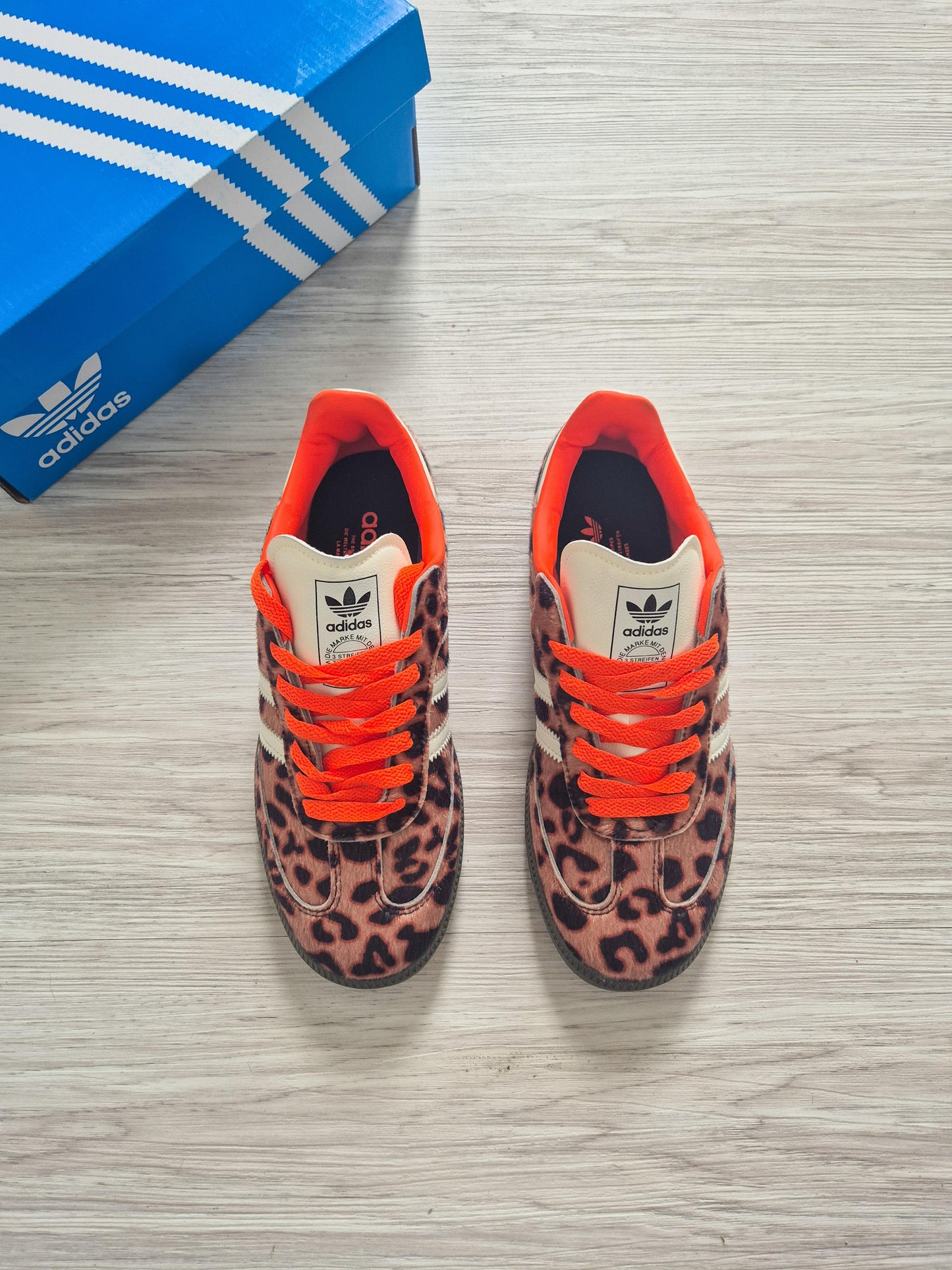 Samba Og Orange Leopard