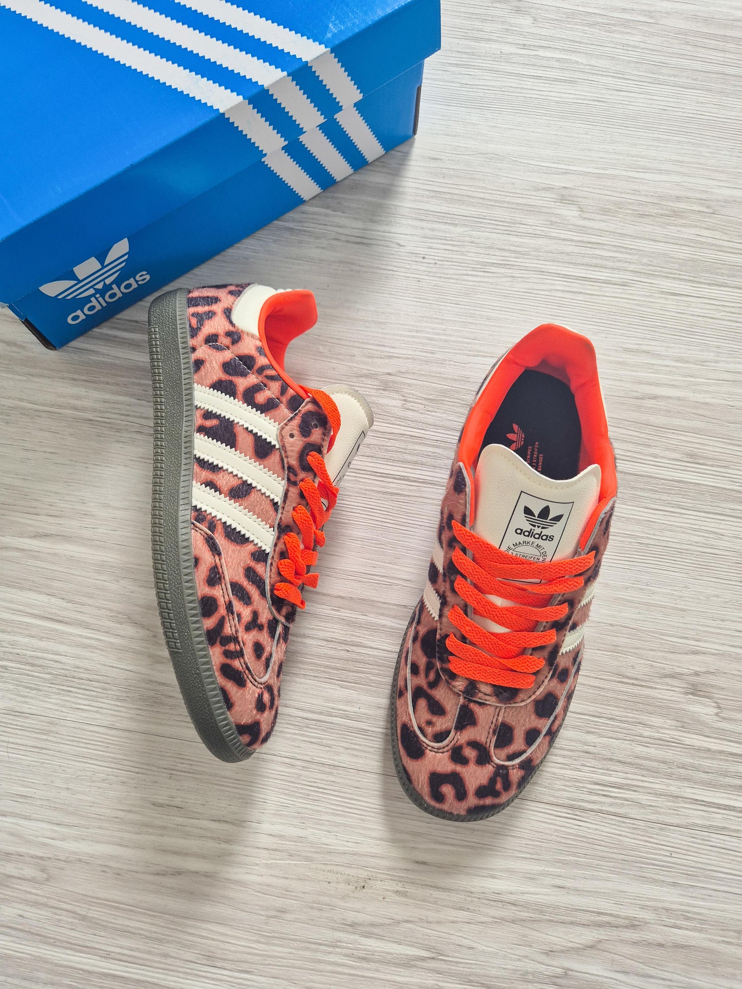 Samba Og Orange Leopard